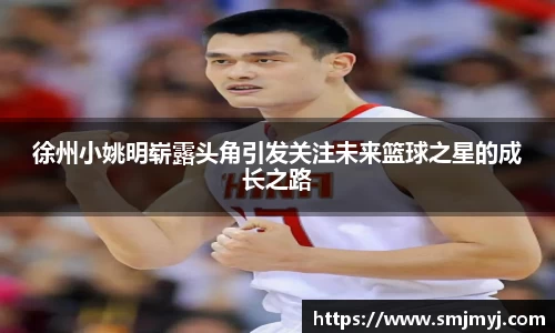 徐州小姚明崭露头角引发关注未来篮球之星的成长之路